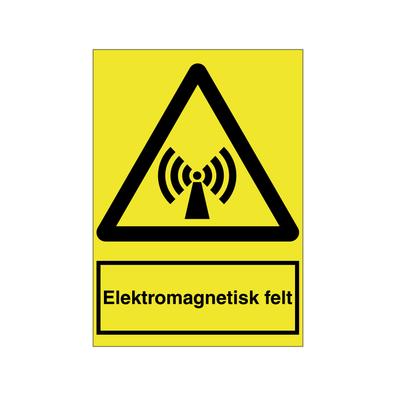 Elektromagnetisk felt