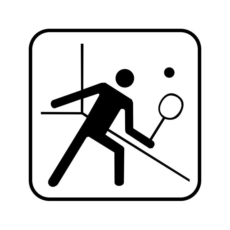 pictogram/piktogram - squash