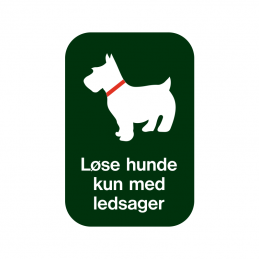 Løse hunde kun med ledsager