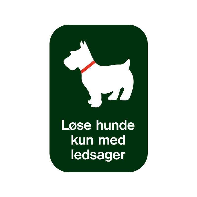 Løse hunde kun med ledsager