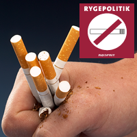 Rygepolitik